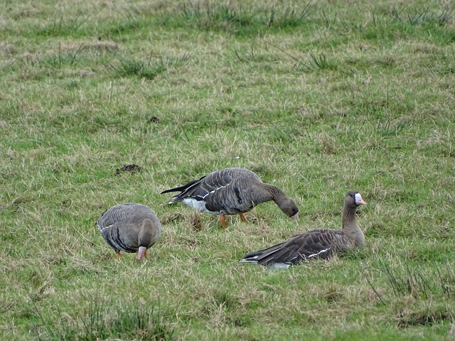 迎来不同命 迎来不同命