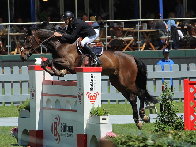 正是这种兼 正是这种兼